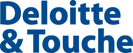 Deloitte logo, 2000–2003