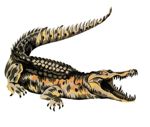 Lacoste logo, 1933–1984