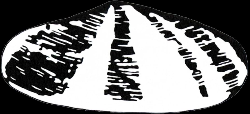 Shell plc logo, 1900–1904