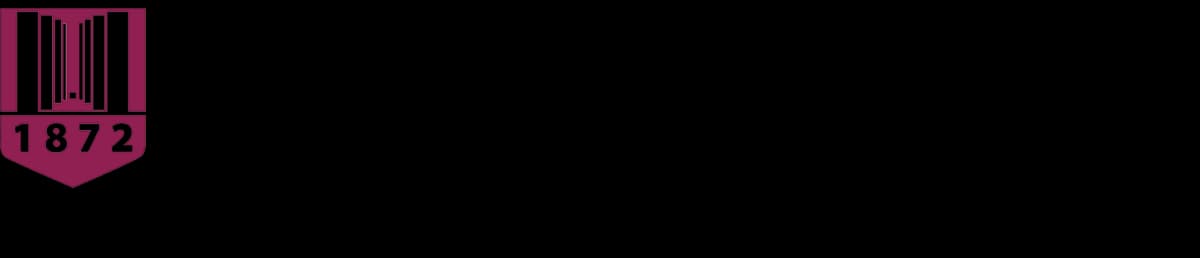 Virginia Tech logo, 2006–2017
